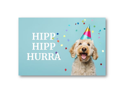 Partyhund | 10x15 cm  - Papirkort.no