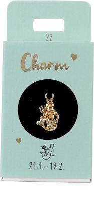 Express Yourself Anheng til øreringer (Nickel free tested) - Aquarius Charm Aquarius - Depesche