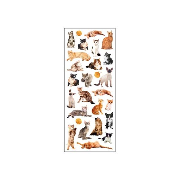 STICKERS KATTER TINKA Katter - Småvarer