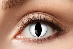 LENS 1 WEEK BLACK CAT W10 linser - Halloween