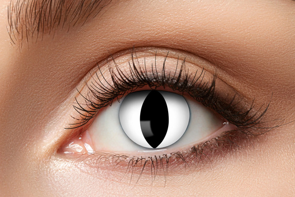 LENS 1 WEEK BLACK CAT W10 linser - Halloween