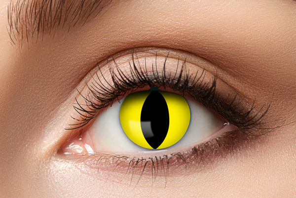 LENS 1 WEEK YELLOW CAT W45 Linser gul - Halloween