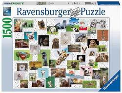 Ravensburger puslespel 1500b Funny Animals 1500 bitar - Ravensburger