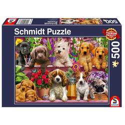 Puslespel Schmidt 500b Puppies on the shelf 500 bitar - Schmidt