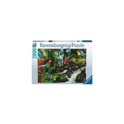 Ravensburger puslespel 2000 Papegøyenes paradis  2000 bitar - Ravensburger