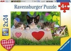 Sleepy Kittens 2x24b 2x24b - Ravensburger