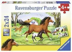 World of horses 2x24b 2x24b - Ravensburger