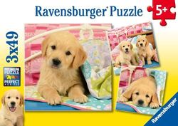 Cute puppy dogs 3x49b 3x49 - Ravensburger