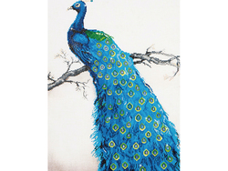Diamond Dotz.  Blue Peacock. Runde Perler. Blue peacock - Diamond Dotz
