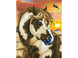 Diamond Dotz DD9 – Wild & Free Wild & free - Diamond Dotz