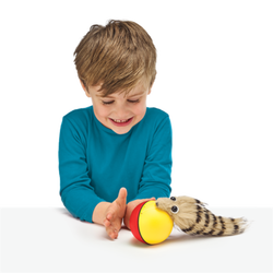FLIP OVER ILDER  Ilder - Fidget Toys