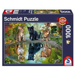 Schmidt puslespill 1000 Dream Big!  1000 - Schmidt