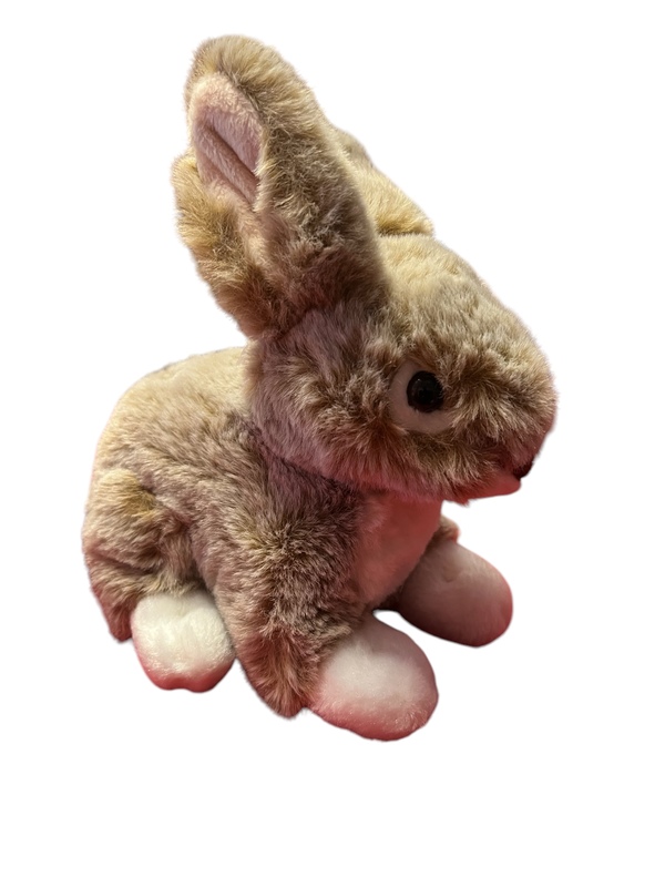 Dreamies kaniner 20 cm,3 ass Lys Brun - Teddykompaniet