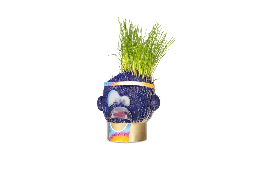 Hape Plant Pals  Scared Sam  Scared Sam  - Maki