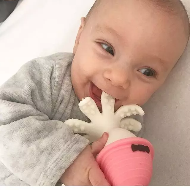 MOMBELLA OCTOPUS - ROSA Rosa - Mömbella