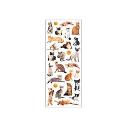 STICKERS KATTER TINKA Katter - Småvarer